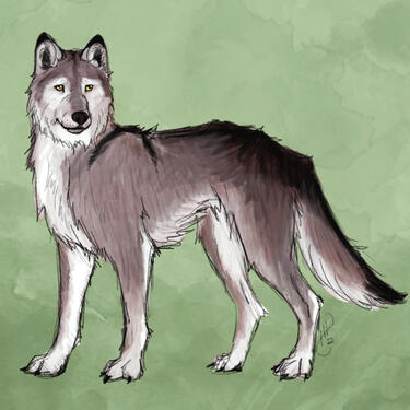 Simon's Wolf Full Body, $25