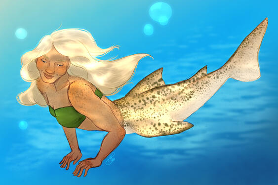 Shark Mermaid Full Body, $25